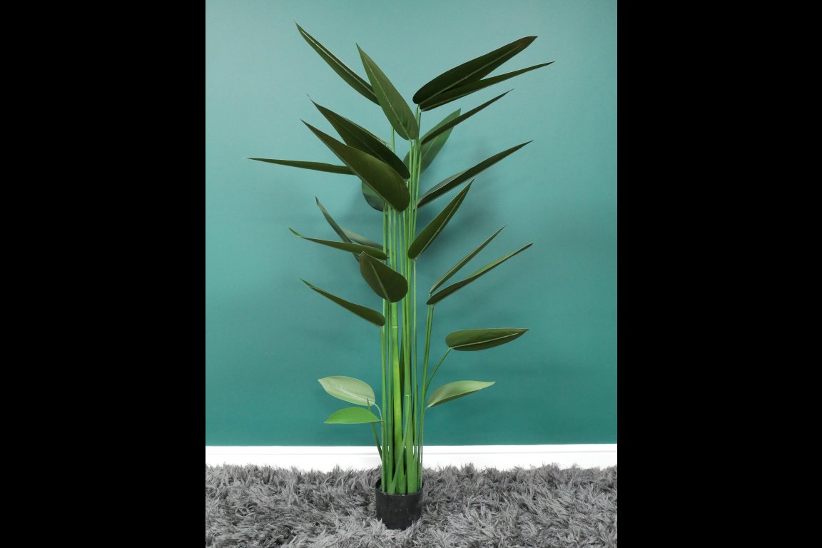 Artificial Canna