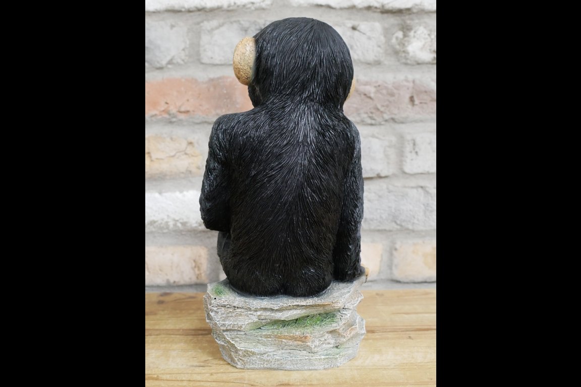 Monkey Sat On Rocks