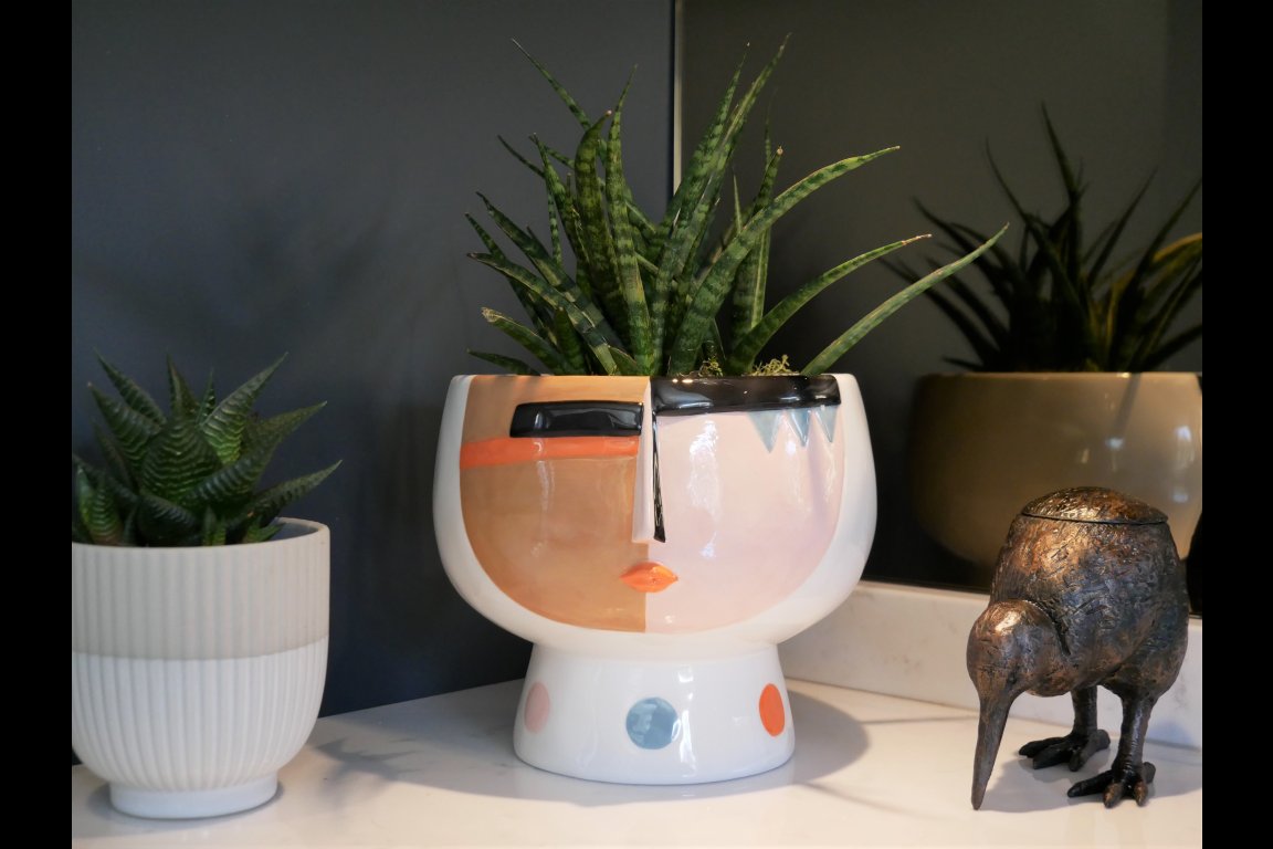 Face Plant Pot