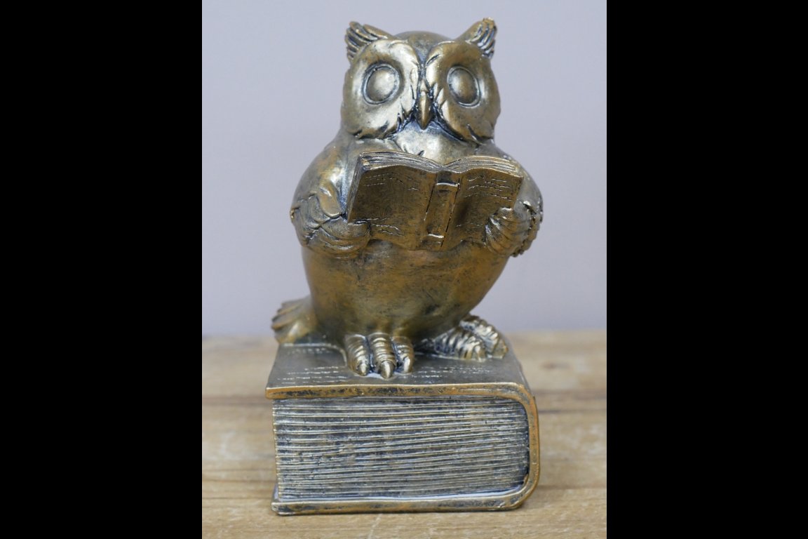 Reading Owl