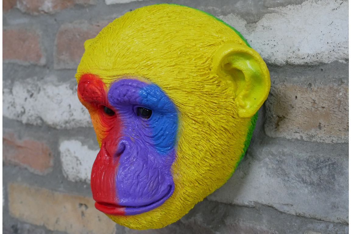 Rainbow Monkey Head