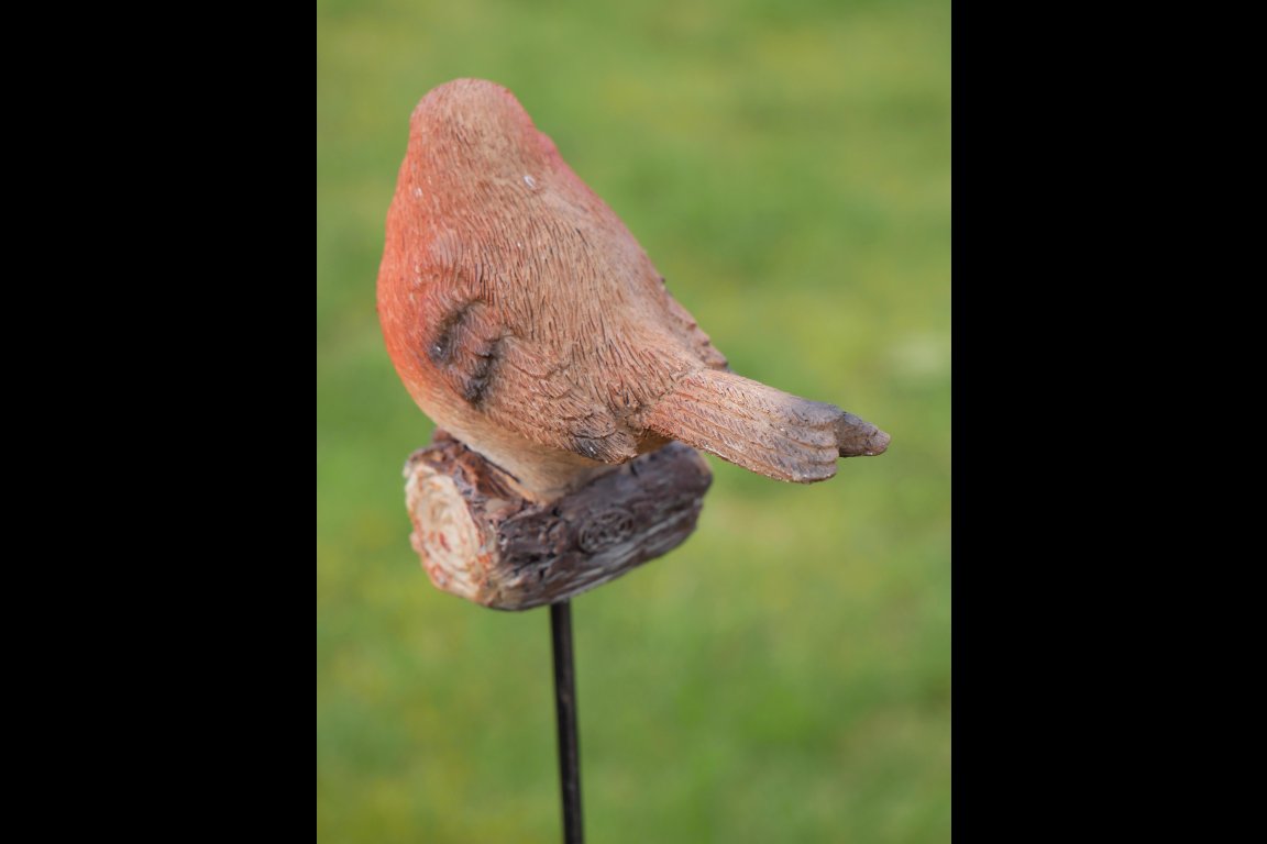 Robin On Stake