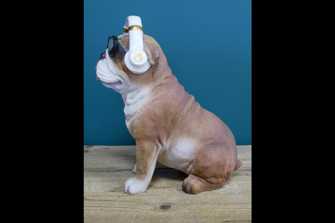 Dog With Headphones