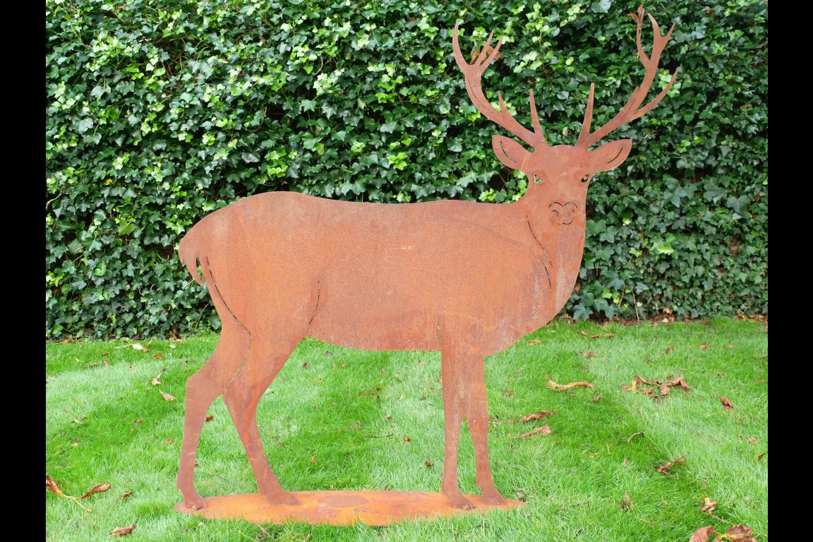 Rusty Stag