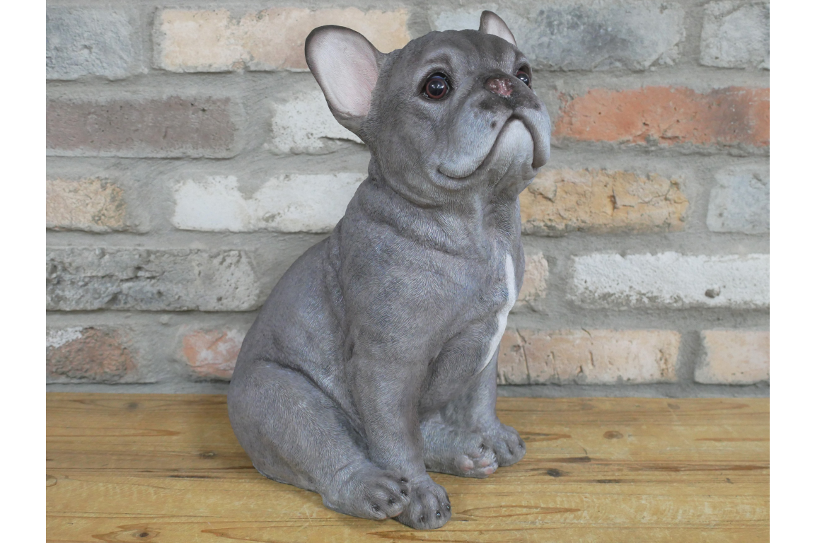Sitting Dog (Frenchie)