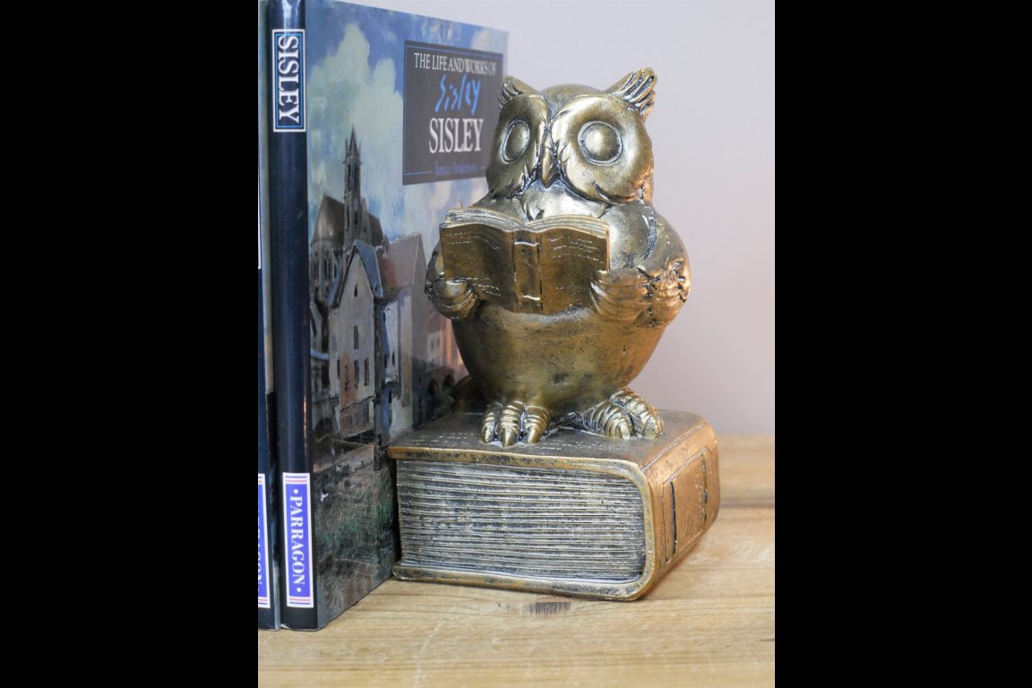 Reading Owl