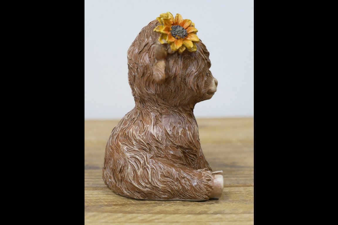 Sitting Highland Cow
