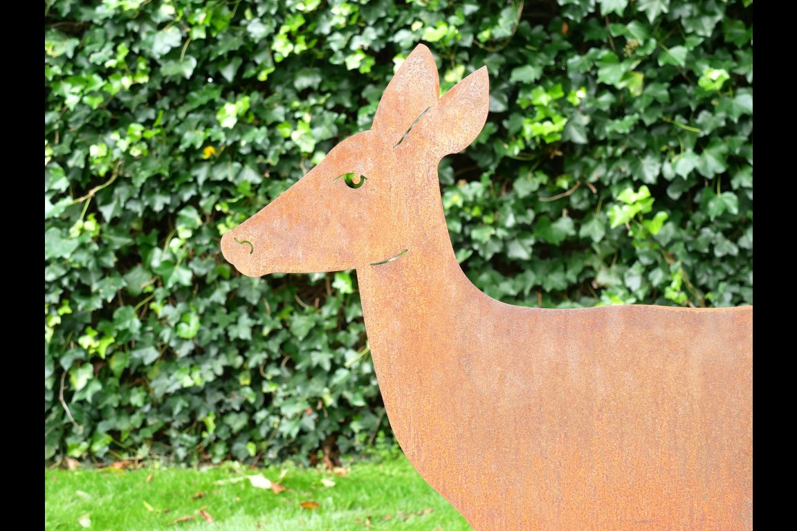 Rusty Deer