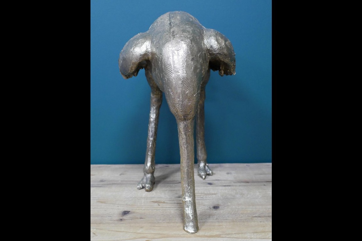 Ostrich (Head In Sand)