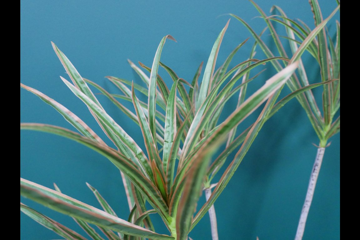 Artificial Dracaena