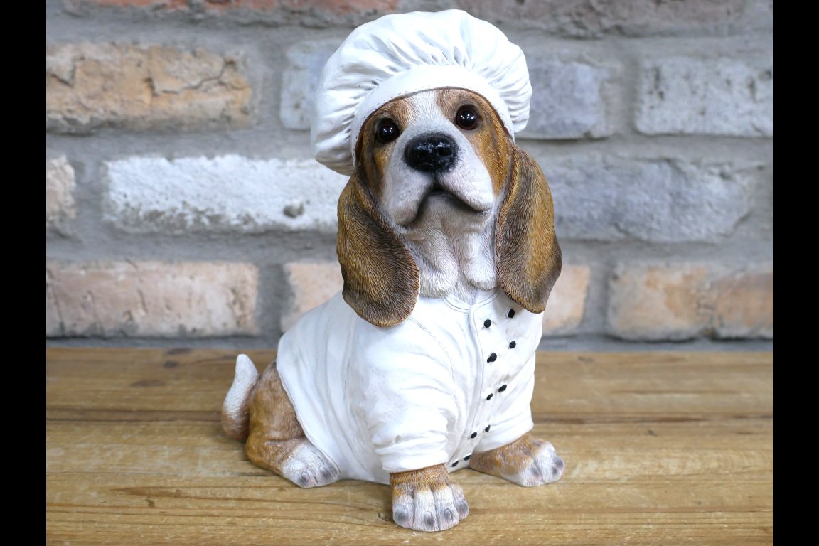 Dog Chef