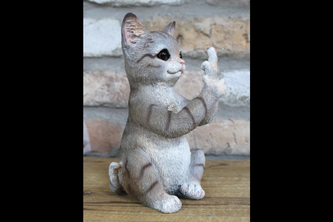 Up Yours Cat