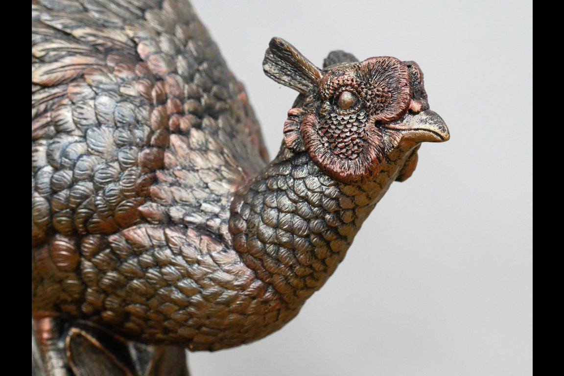 Pheasant