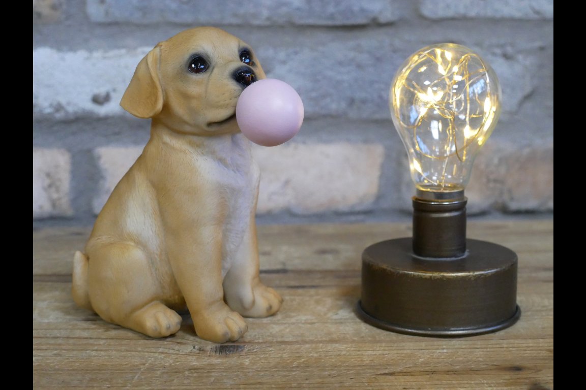 Bubblegum Dog