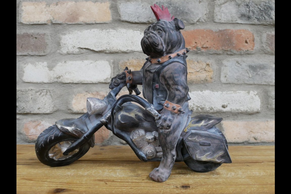 Bulldog On Motorbike