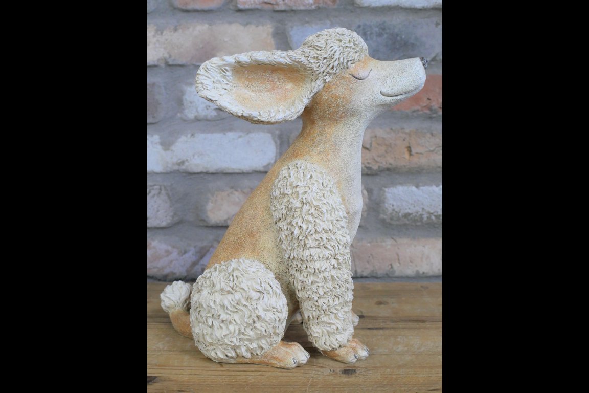 Poodle