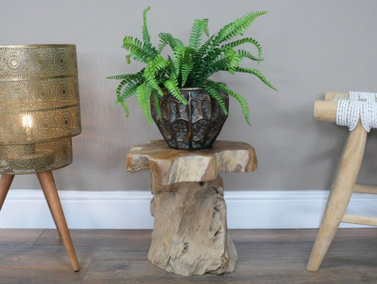 Root Side / Plant Stand