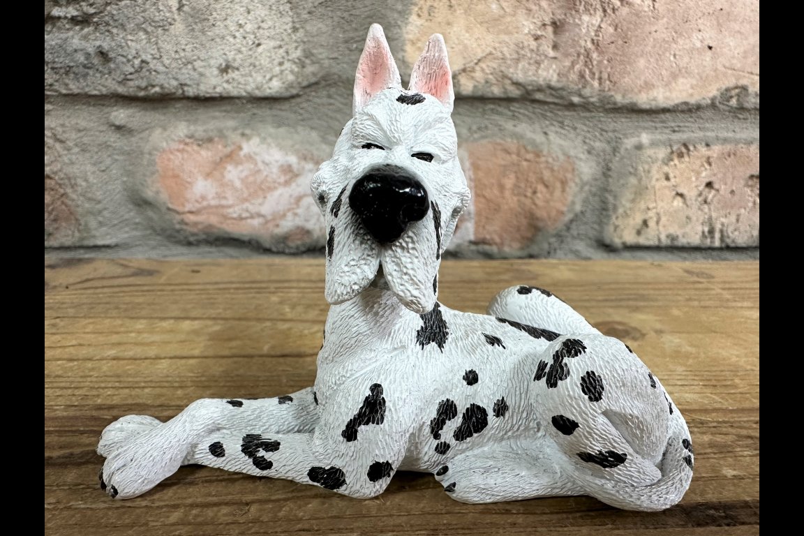 Dalmatian