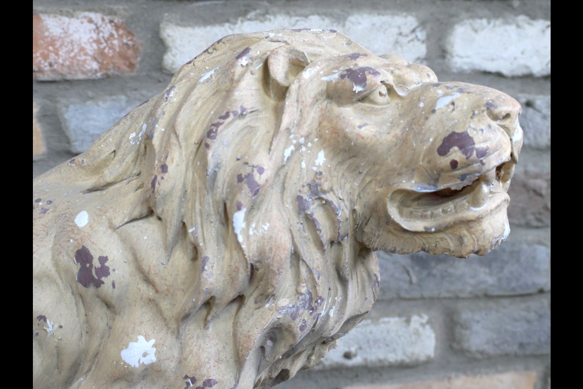 Rustic Lion