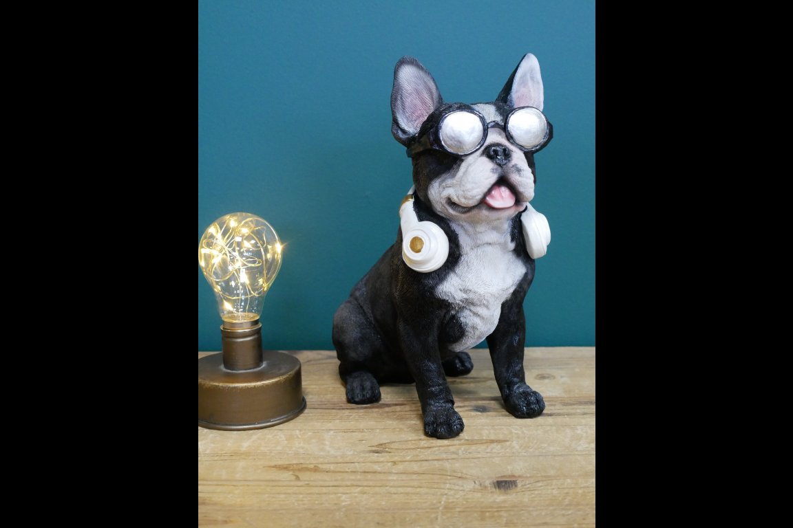 Dog With Headphones