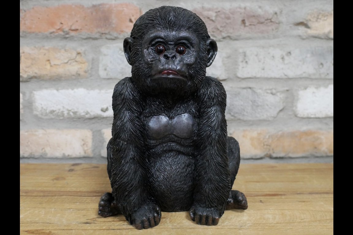 Baby Gorilla