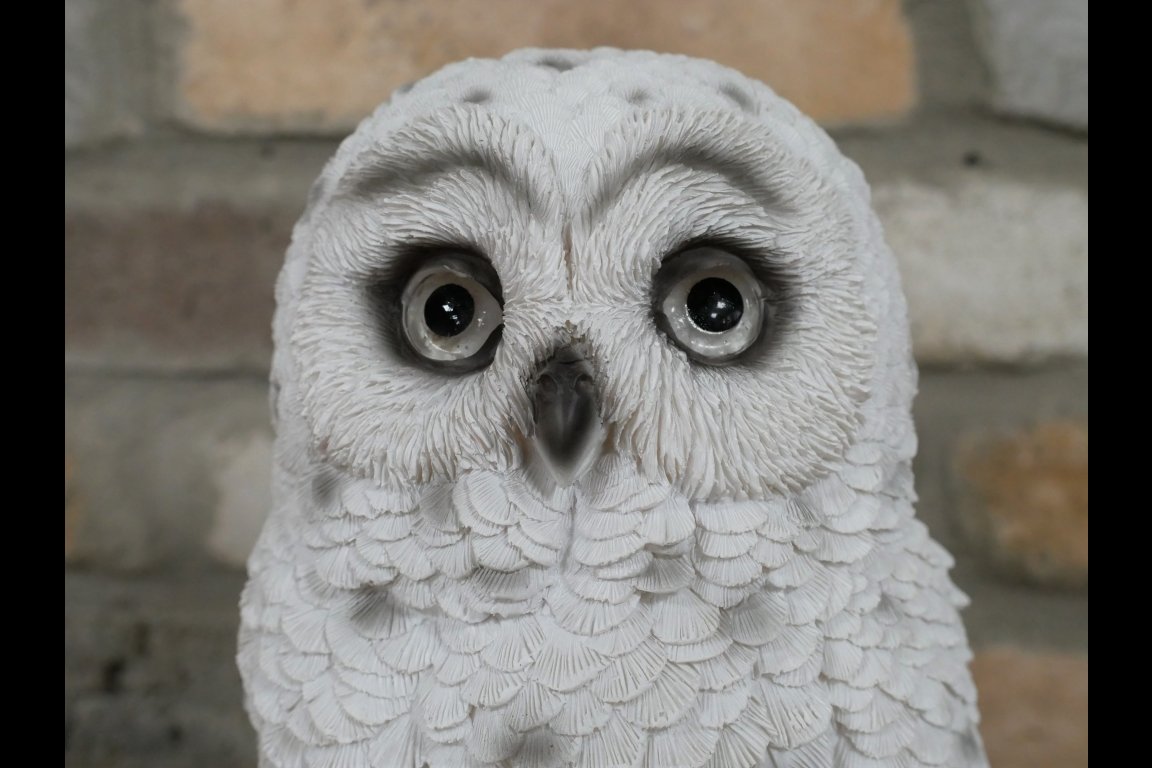 Solar Owl
