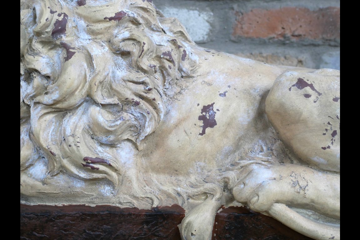 Sleeping Lion