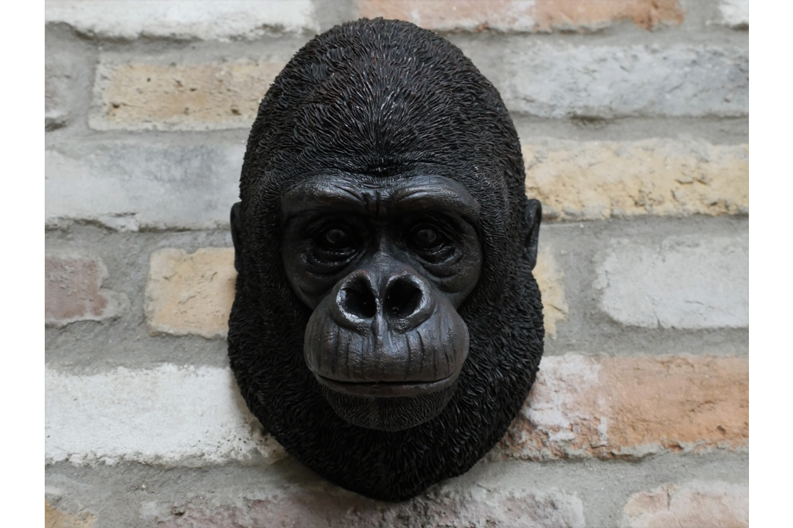 Gorilla Head