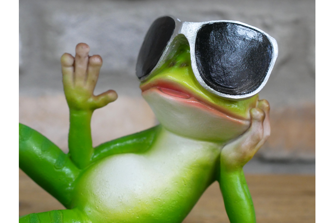 Chilling Frog