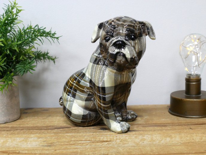 Tartan Dog