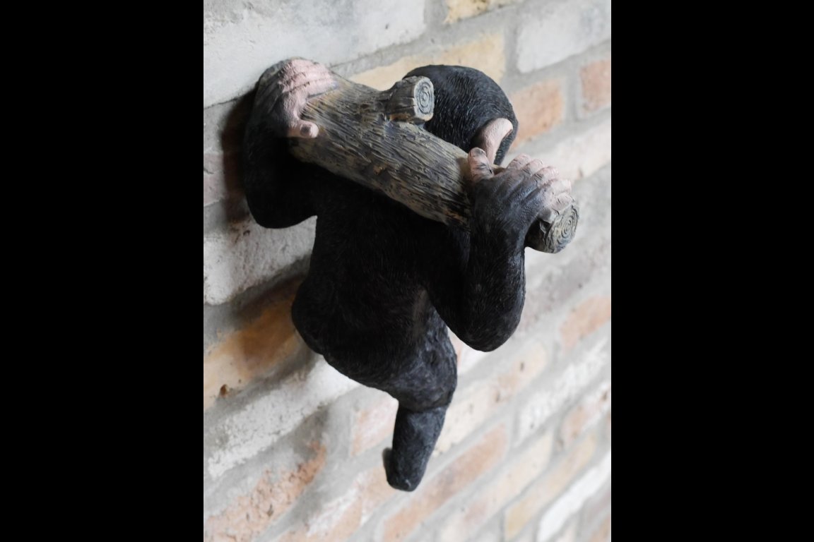 Monkey Hanging On A Branch
