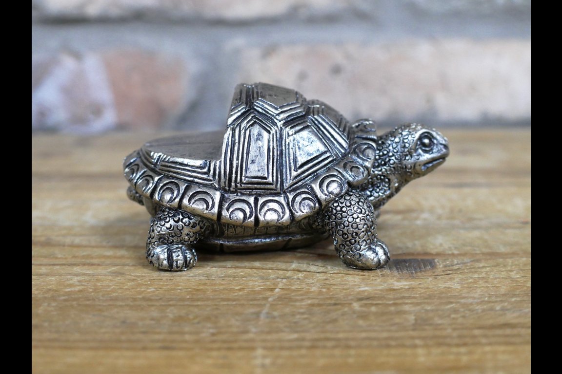 Tortoise Pot Stands (Set of 3)