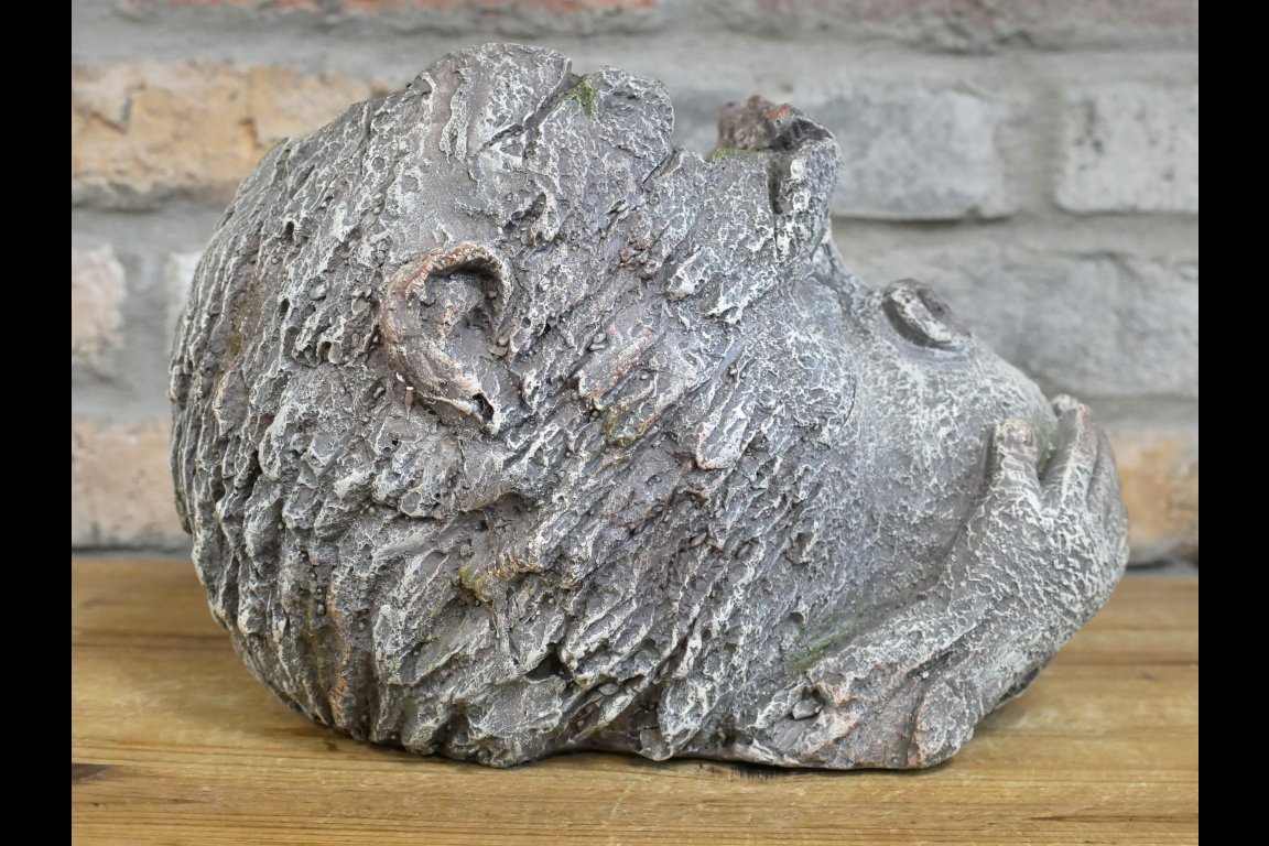 Monkey Head Planter