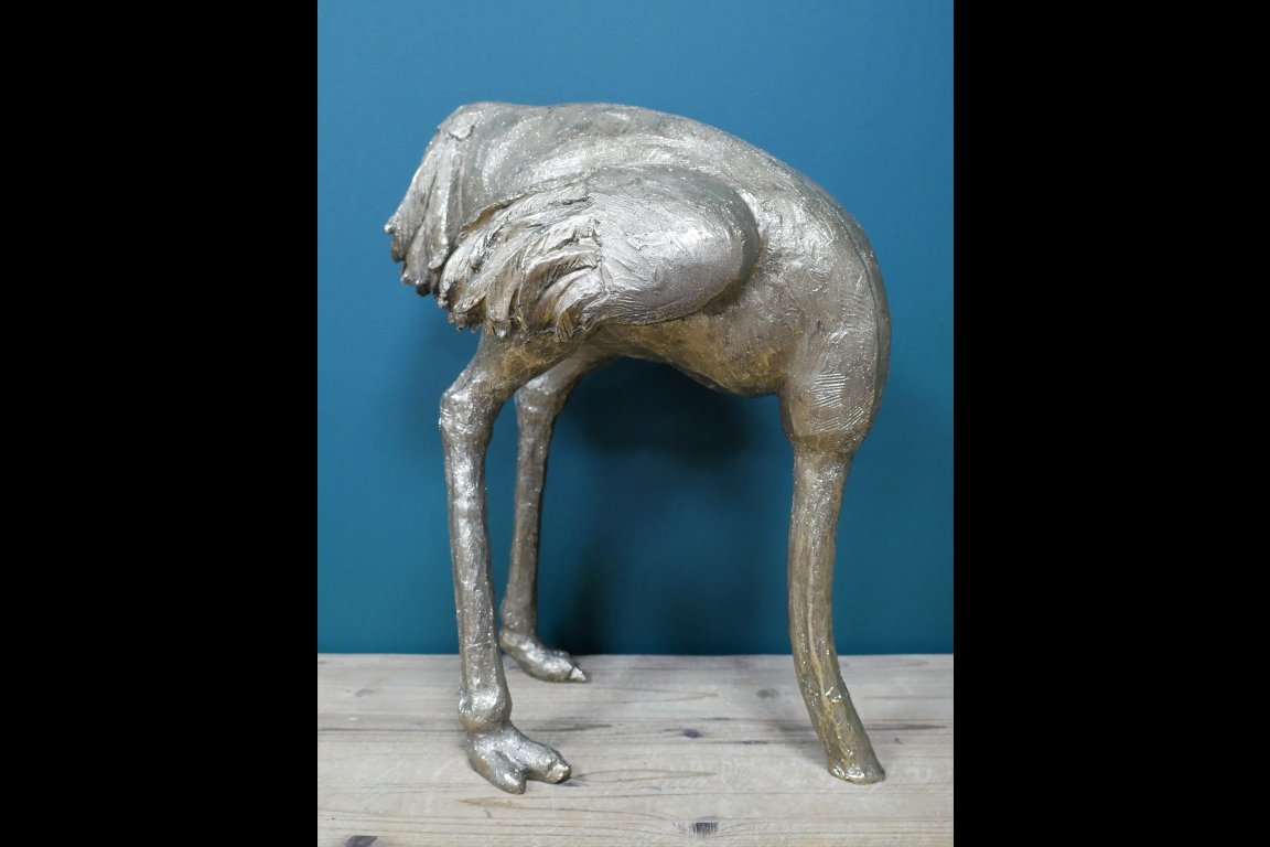 Ostrich (Head In Sand)