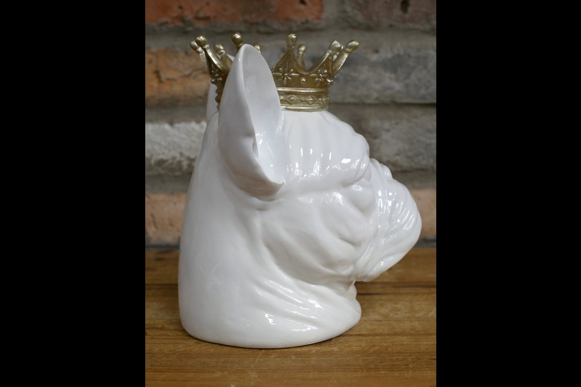 Frenchie With Crown