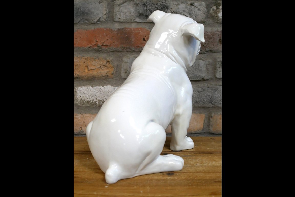 White Bulldog