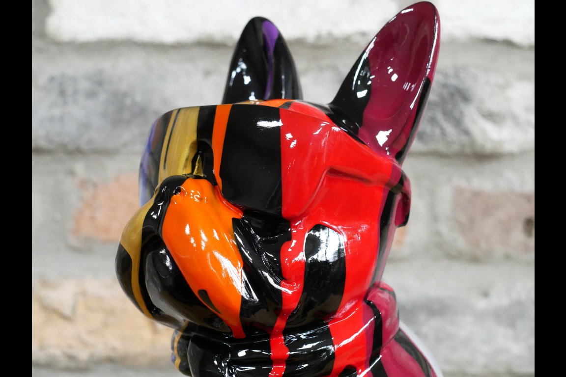 Multi Colour Dog With Shades