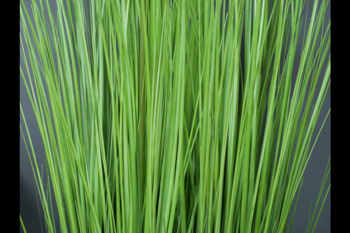 Artificial Dandelion Grass - Small