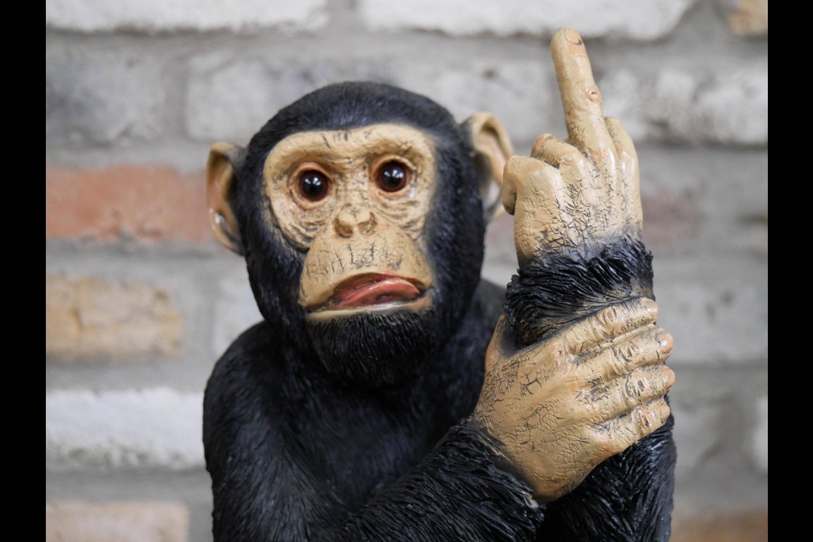 Up Yours Monkey