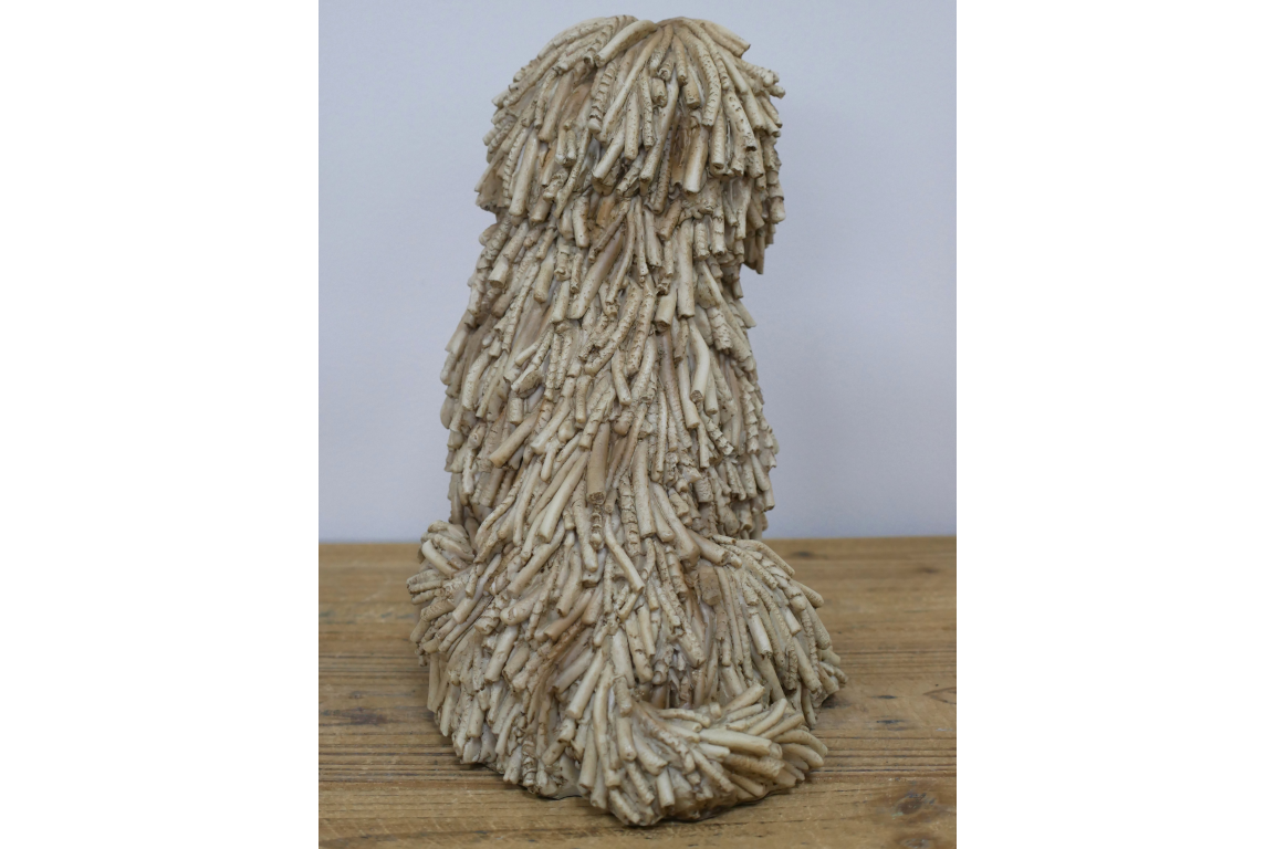 Sitting Shaggy Dog