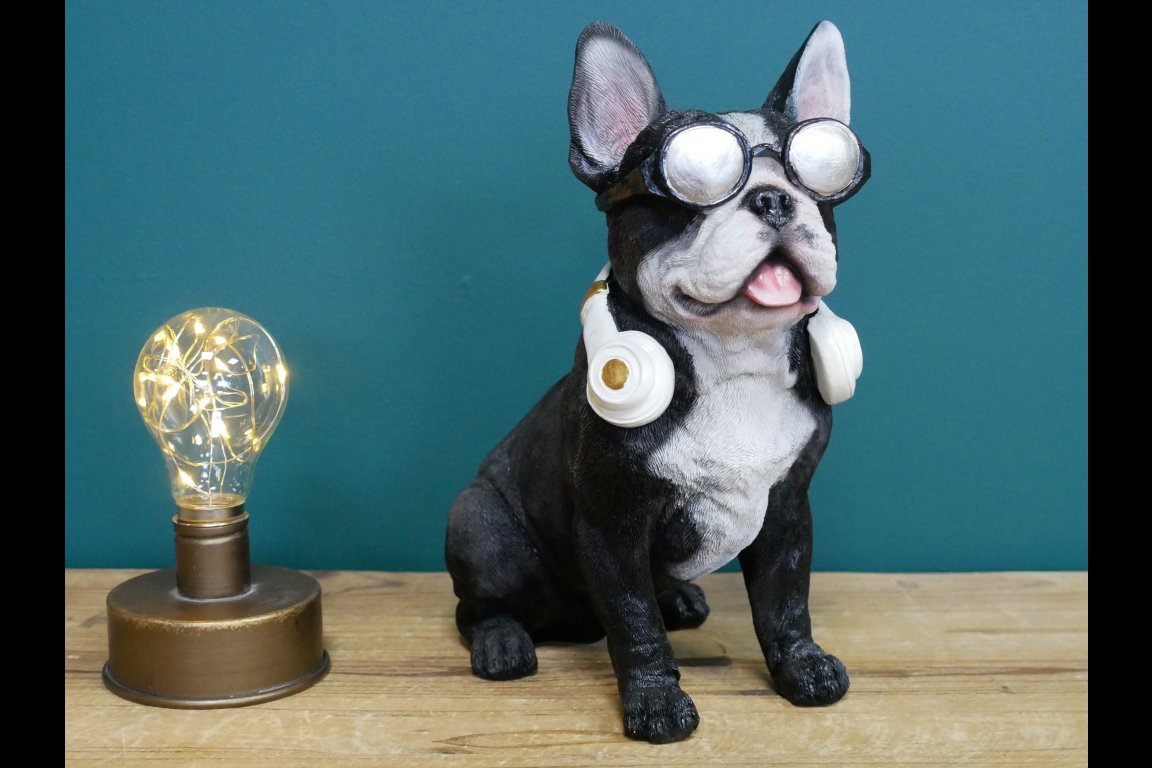 Dog With Headphones