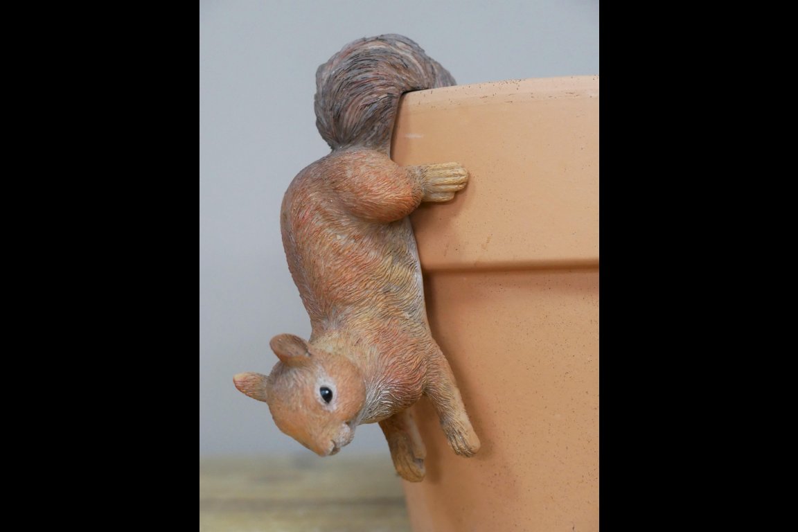 Set Of 3 Squirrel Pot Hangers