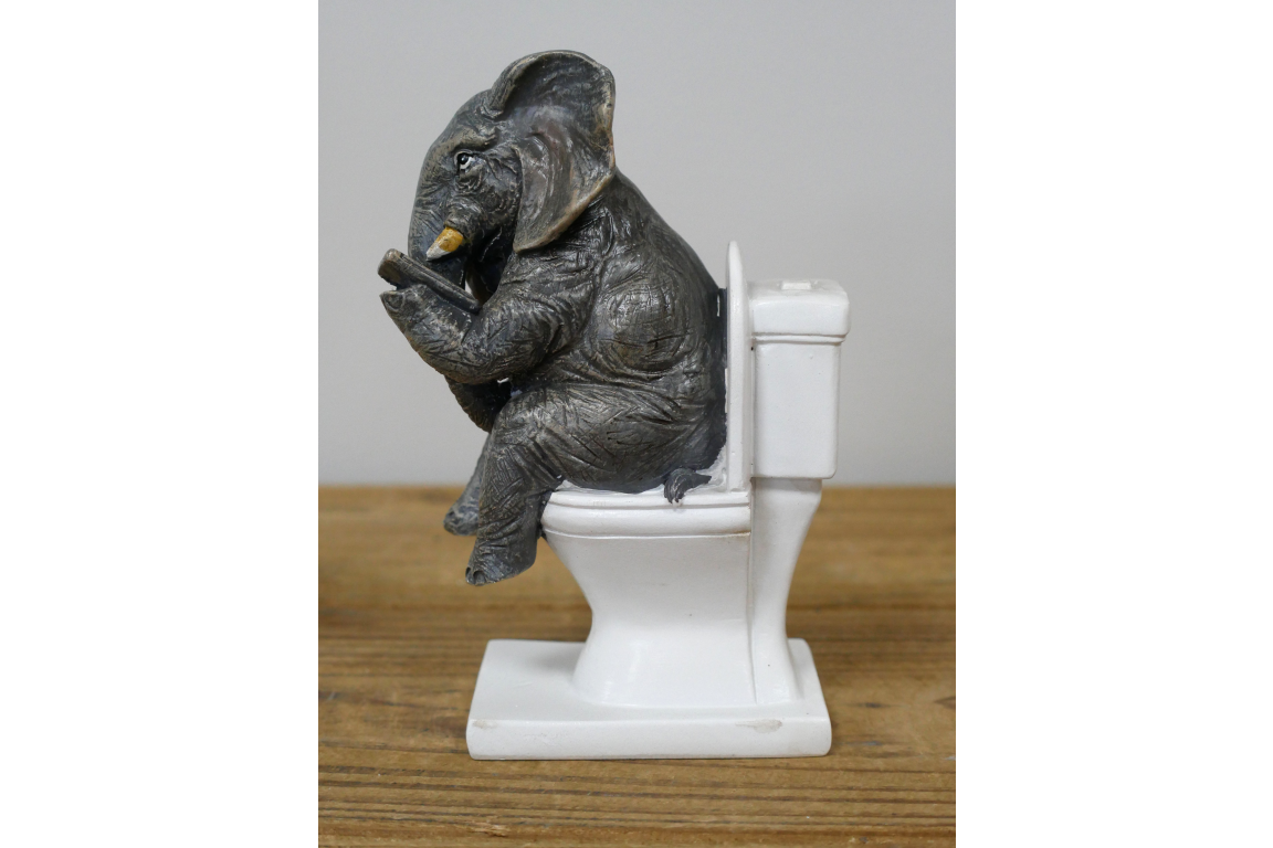 Elephant On The Loo