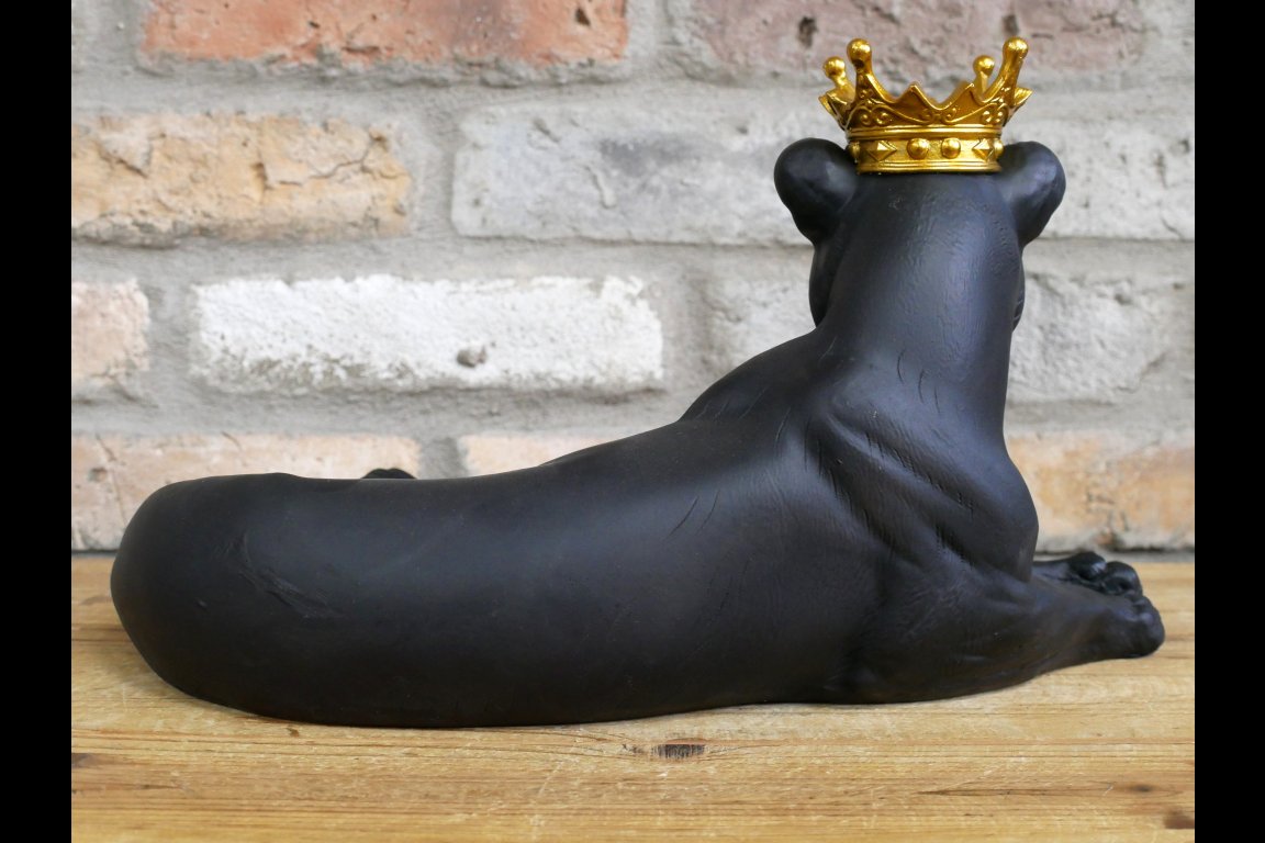 Laying Lion