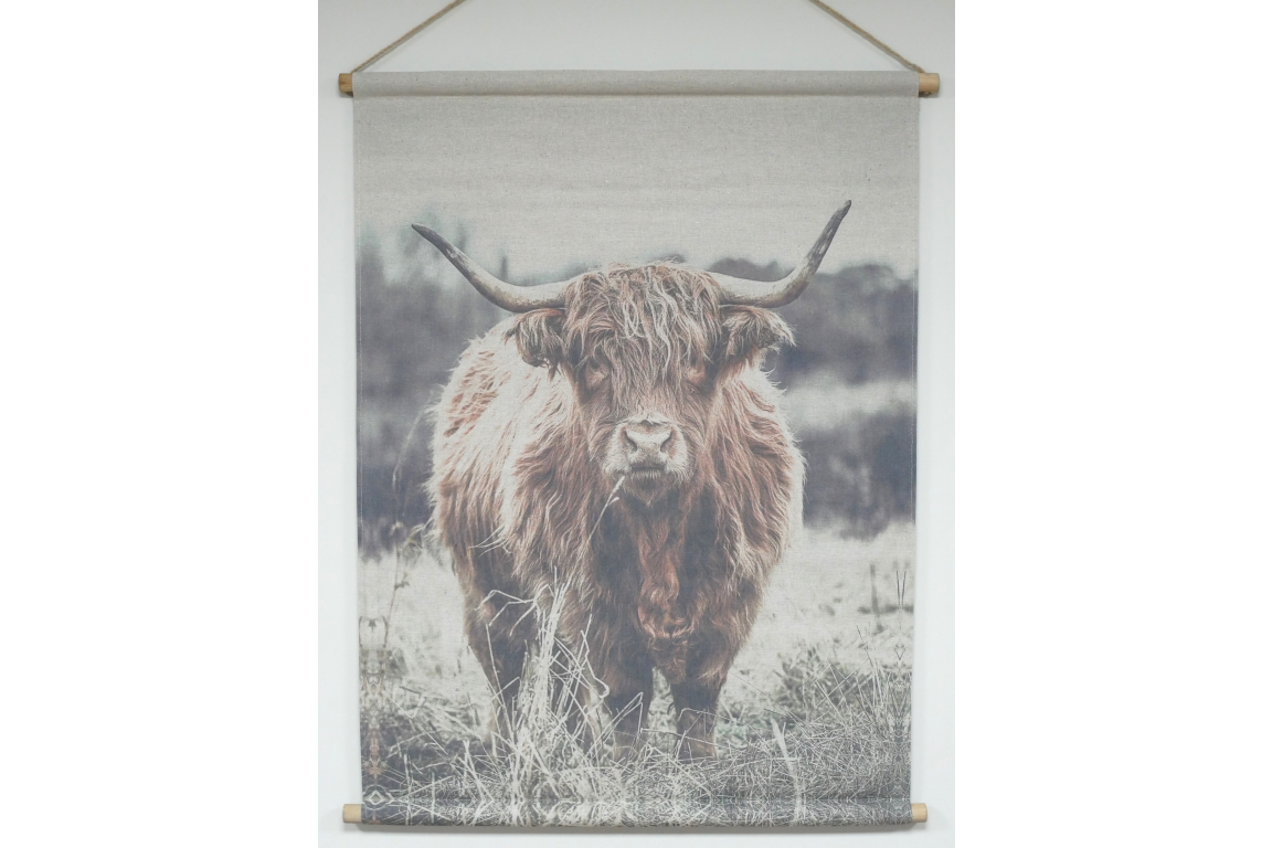 Wall Art - Highland Cow
