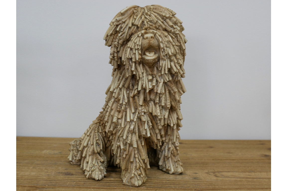 Sitting Shaggy Dog