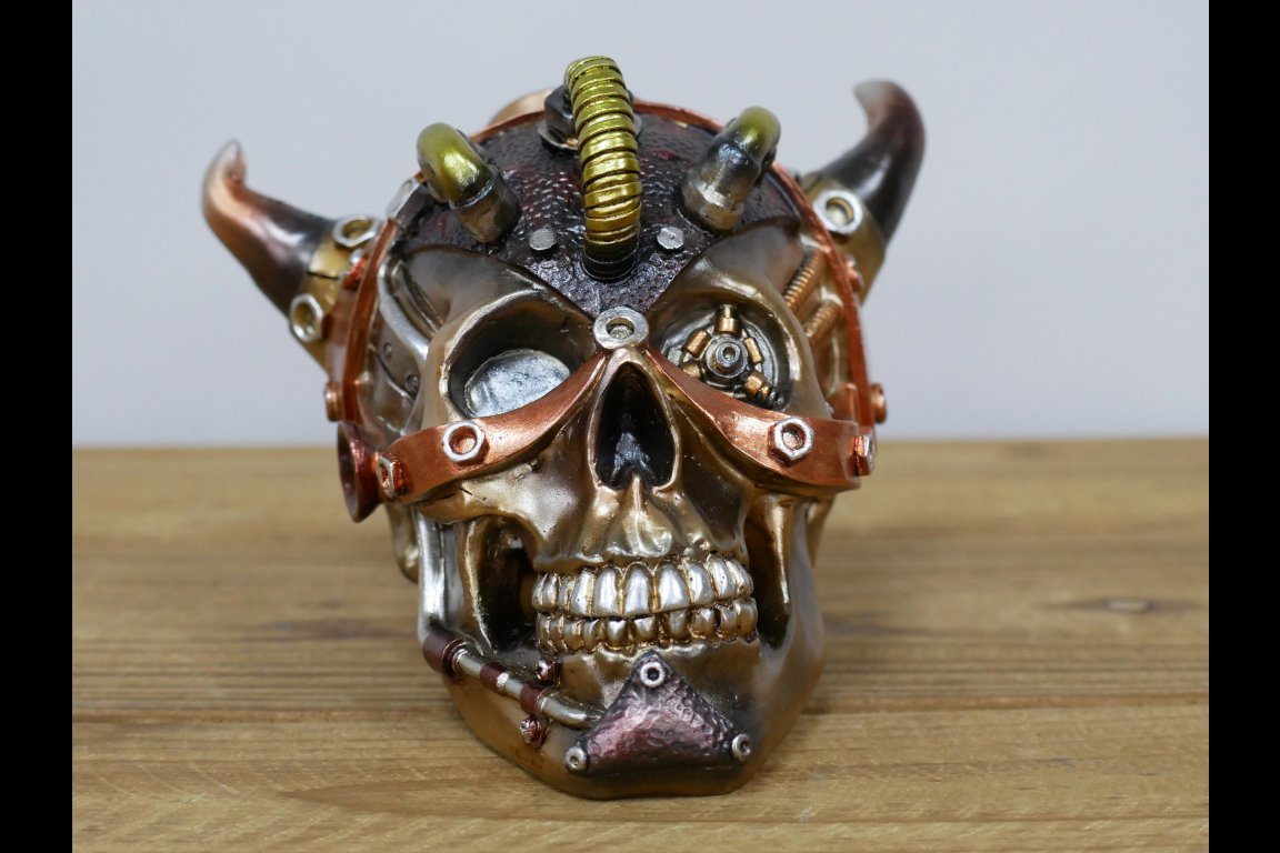 Steampunk Skull