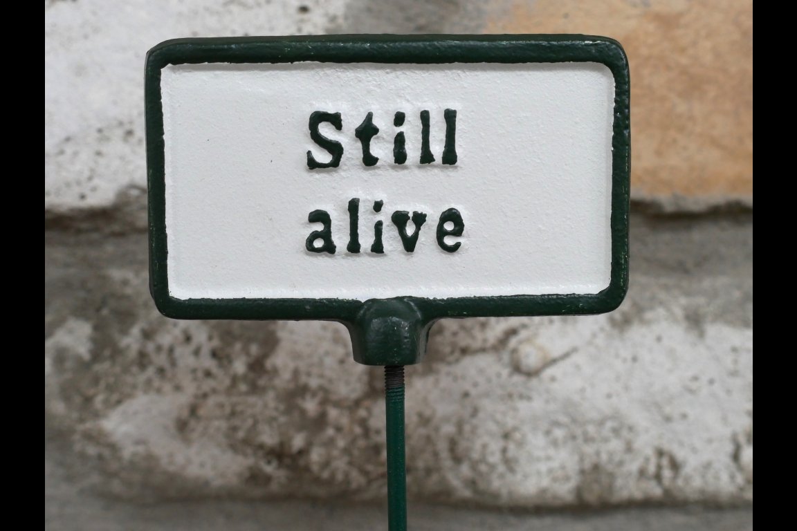 Plant Sign - Still Alive