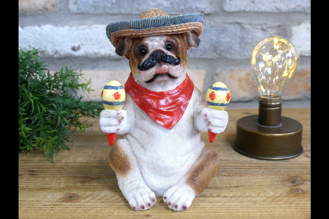 Mexican Bulldog