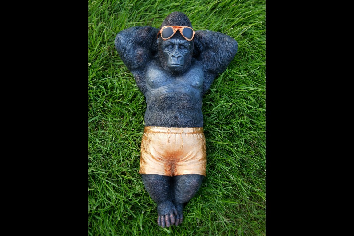 Chilling Gorilla